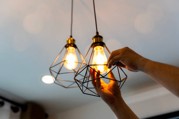 Best Electrician for Home Renovation  in Boulevard Park, WA